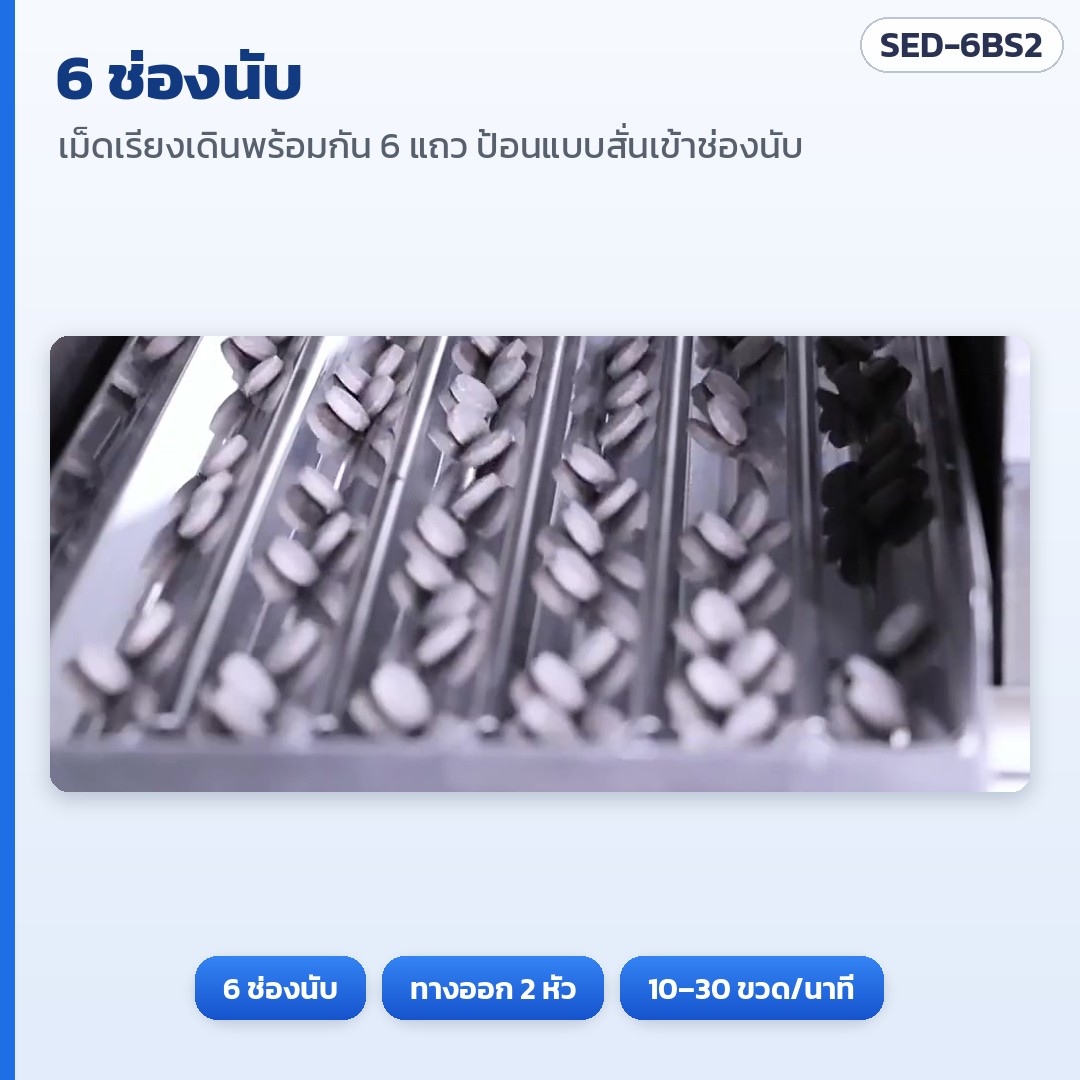 เครื่องนับเม็ดยา/แคปซูลกึ่งอัตโนมัติ 6 ช่อง 2 หัวลงขวด SED-6BS2 – 6 ช่องนับ: เม็ดเรียงเดินพร้อมกัน 6 แถว ป้อนแบบสั่นเข้าช่องนับ (ภาพจากคลิปเครื่องจริง)
