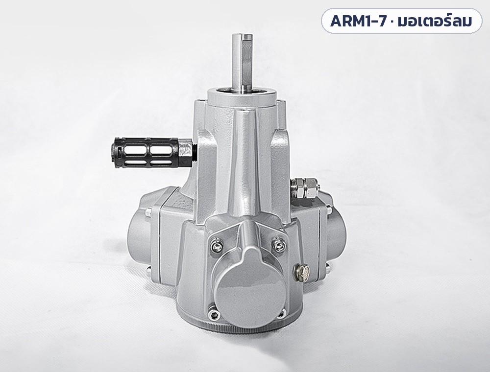 ภาพถ่ายสินค้า: มอเตอร์ลมแบบลูกสูบ มองจากด้านบน เห็นเพลาและตัวเก็บเสียงสีดำ