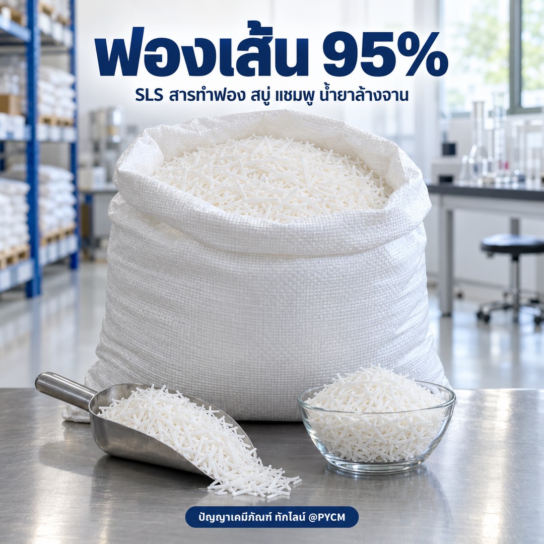 ฟองเส้น SLS 95% (Sodium lauryl sulfate)