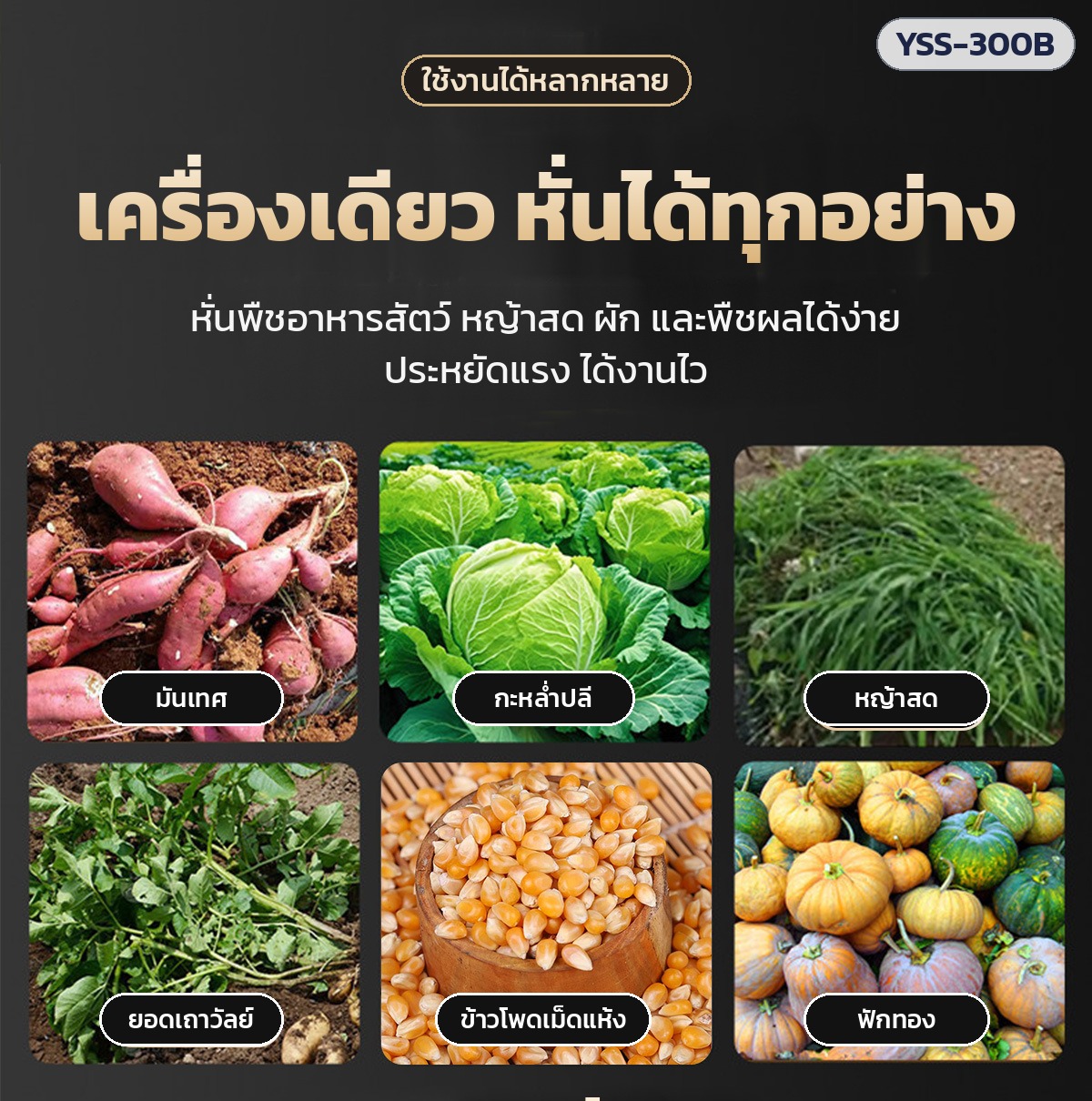 เครื่องหั่นผัก สับหญ้า ย่อยอาหารสัตว์ – หั่นได้หลากหลาย: มันเทศ กะหล่ำปลี หญ้าสด ยอดเถาวัลย์ ข้าวโพดเม็ด ฟักทอง