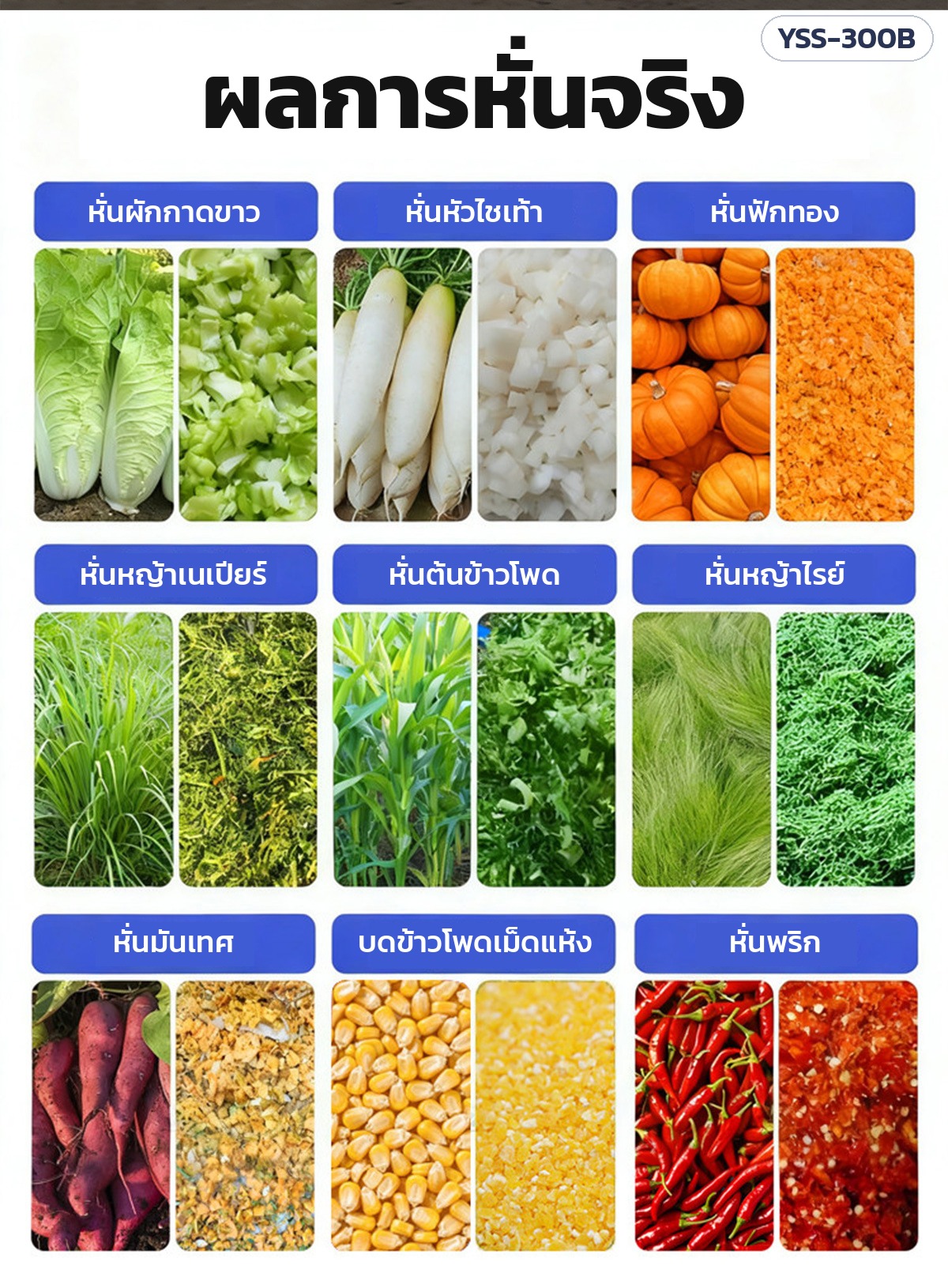 เครื่องหั่นผัก สับหญ้า ย่อยอาหารสัตว์ – ผลการหั่นจริง ผักกาดขาว หัวไชเท้า ฟักทอง หญ้า ต้นข้าวโพด มันเทศ พริก