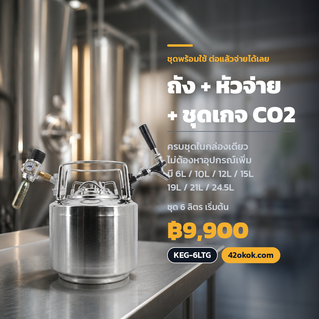 ชุดถังคอร์นีเลียสพร้อมหัวจ่ายและชุดเกจแก๊ส CO2