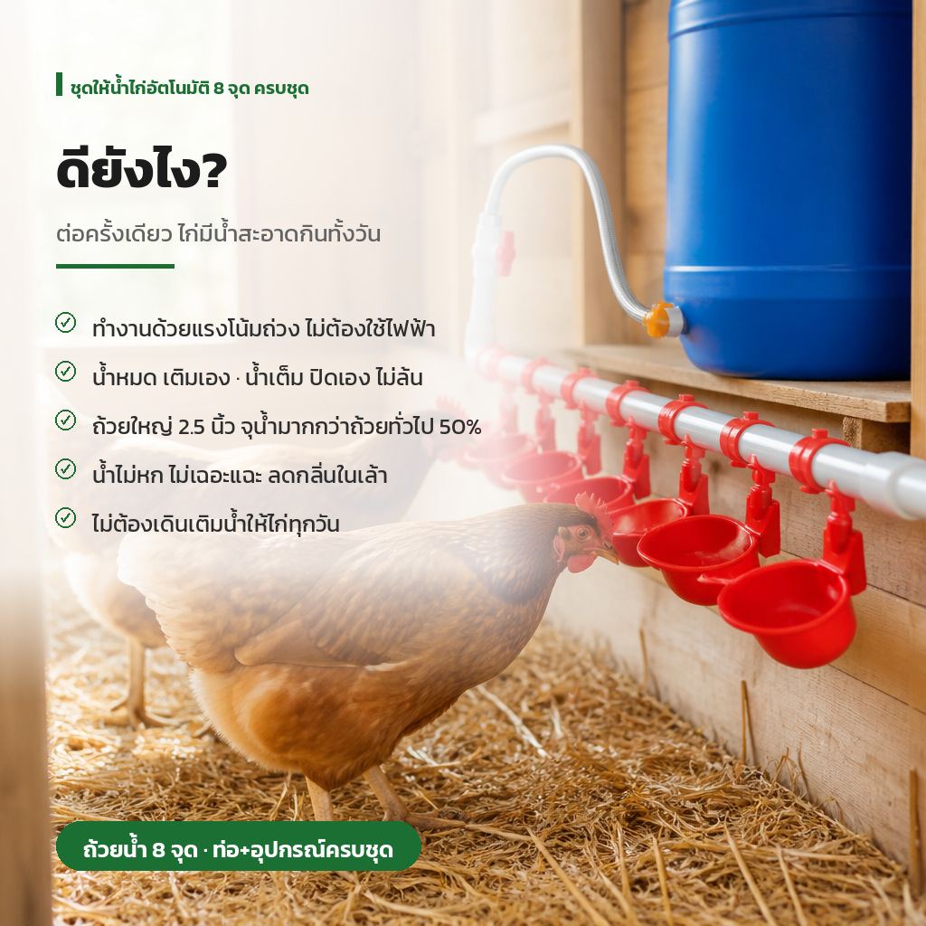 ชุดให้น้ำไก่อัตโนมัติ 8 จุด รุ่น CWS-8 ติดตั้งในเล้าไก่