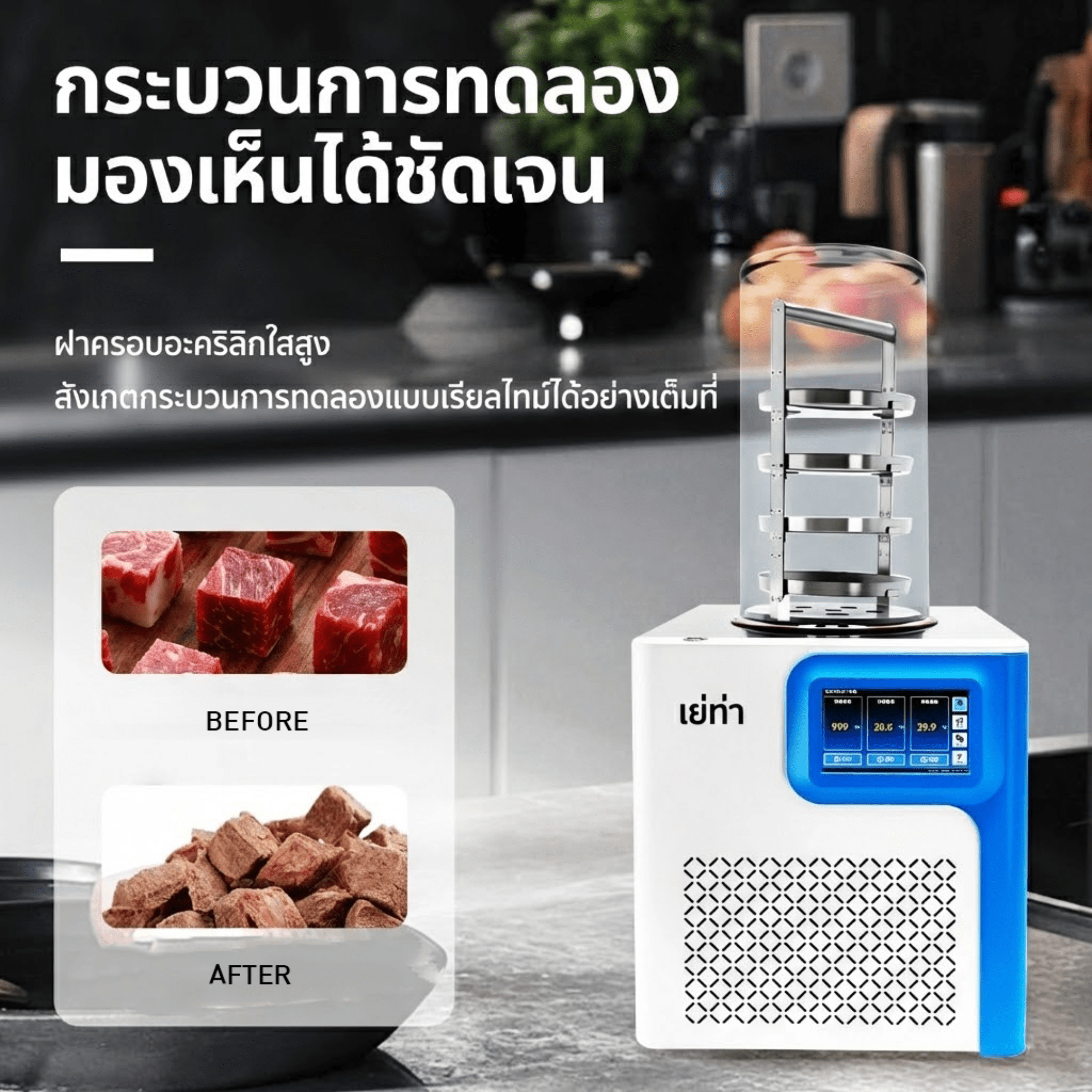 เครื่อง Freeze Dryer รุ่น YTLG-10AN — ล็อคความสดใหม่ รักษาคุณค่าสารอาหาร – รายละเอียด 3
