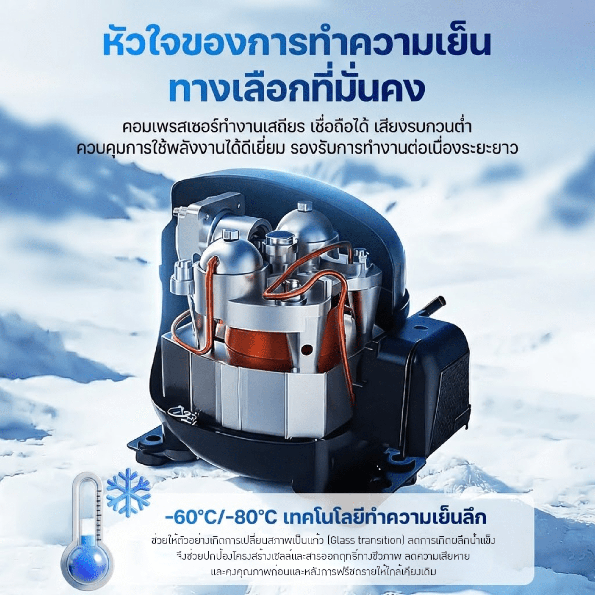 เครื่อง Freeze Dryer รุ่น YTLG-10AN — ล็อคความสดใหม่ รักษาคุณค่าสารอาหาร – รายละเอียด 5