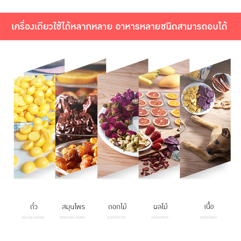 เครื่องอบแห้งอาหาร SEPTREE – รายละเอียด 16